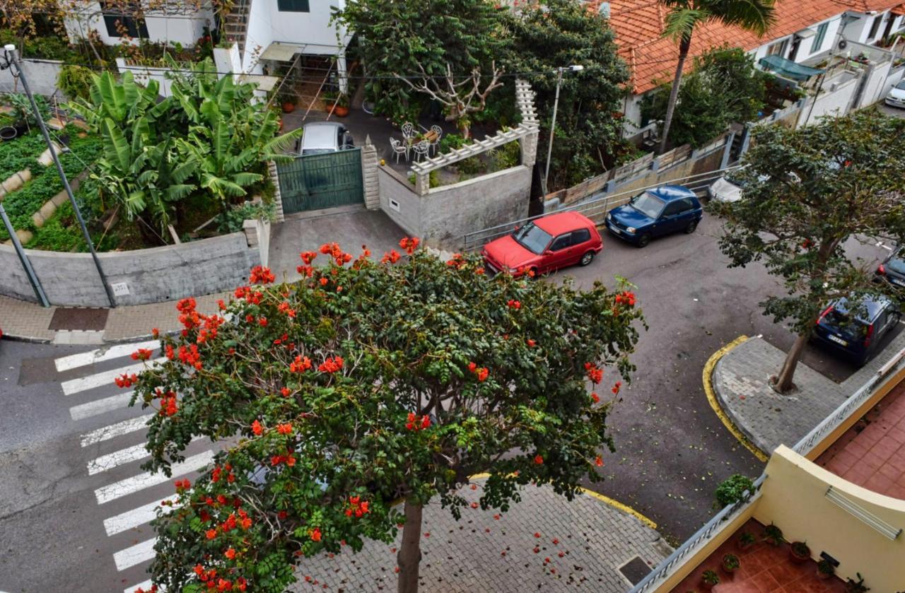 Perola, A Home In Madeira فونشال المظهر الخارجي الصورة